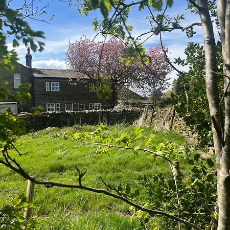 Bents Holiday Cottage อ็อกเซนโฮป ภายนอก รูปภาพ