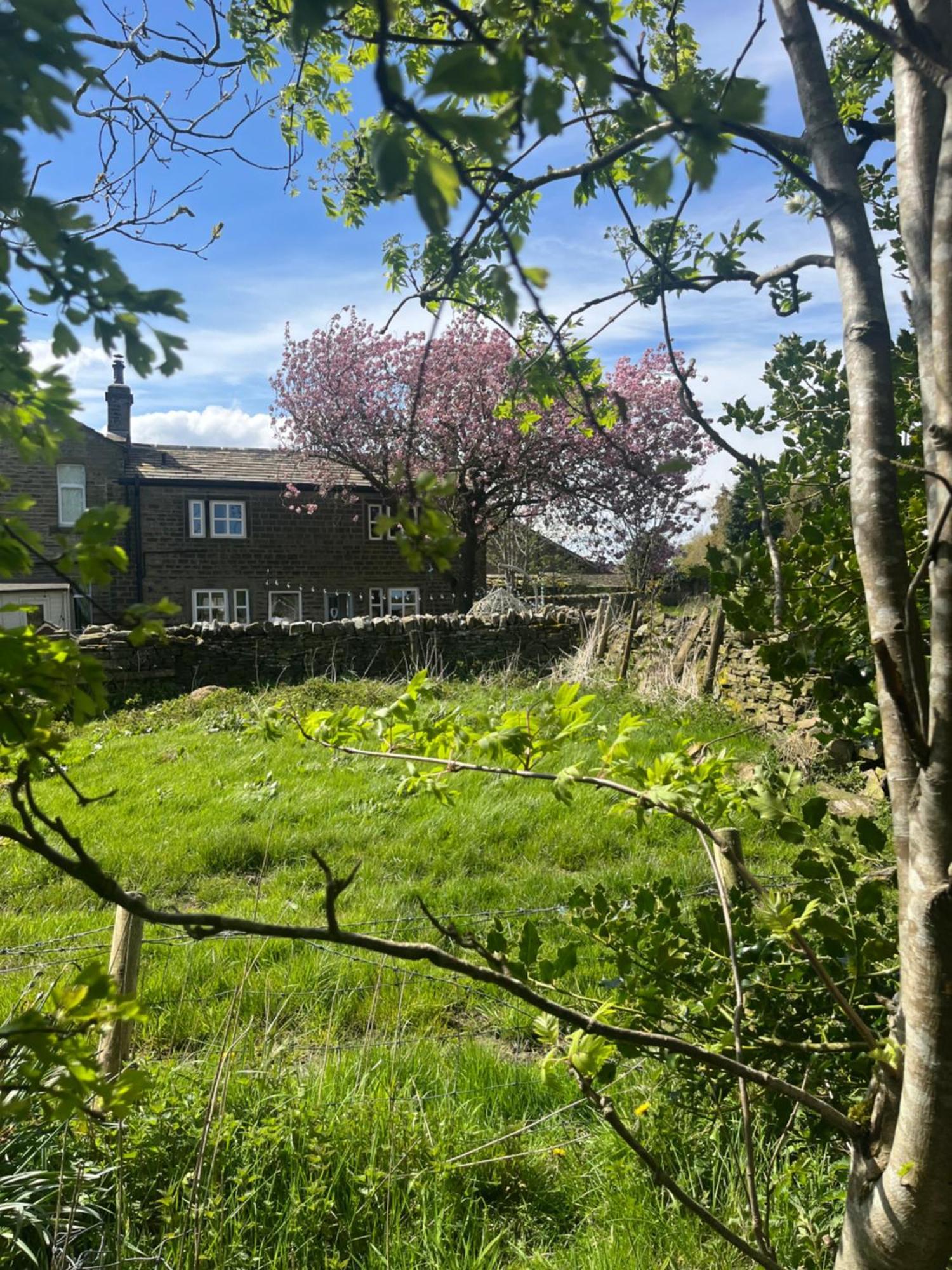 Bents Holiday Cottage อ็อกเซนโฮป ภายนอก รูปภาพ