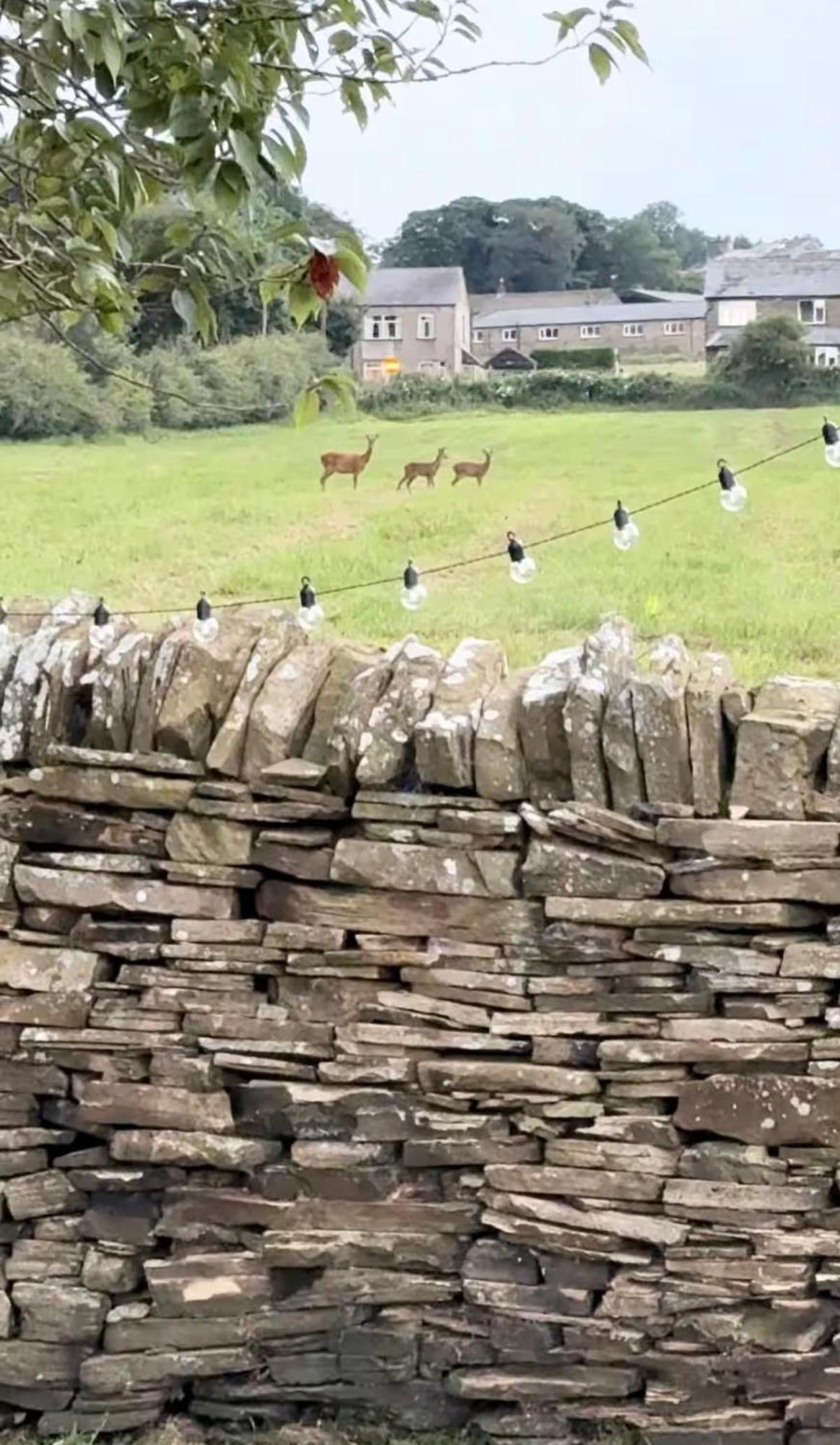 Bents Holiday Cottage อ็อกเซนโฮป ภายนอก รูปภาพ